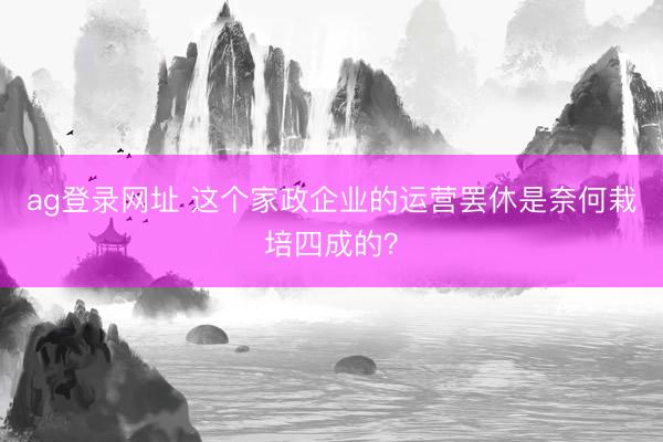 ag登录网址 这个家政企业的运营罢休是奈何栽培四成的？
